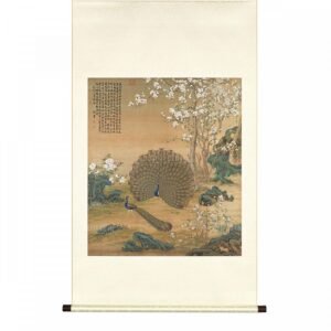 掛軸 清 郎世寧 孔雀開屏 L
