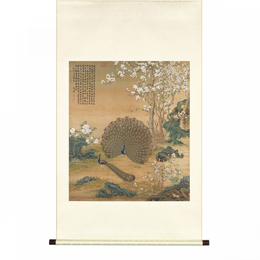 掛軸 清 郎世寧 孔雀開屏