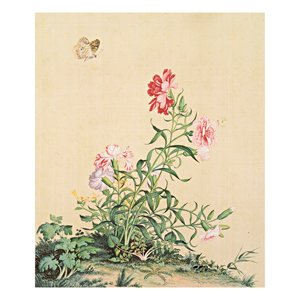 複製 畫心-郎世寧 仙萼長春冊-石竹