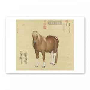 圖卡_郎世寧 一馬當先系列8入套組
