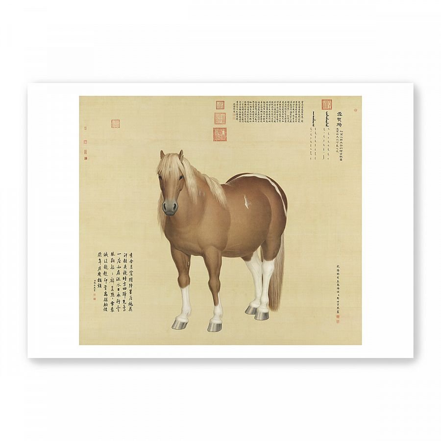 圖卡_郎世寧 一馬當先系列8入套組