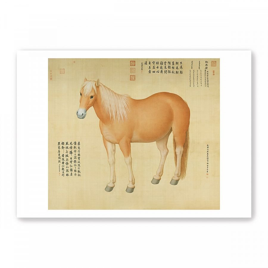 圖卡_郎世寧 一馬當先系列8入套組 - Image 2