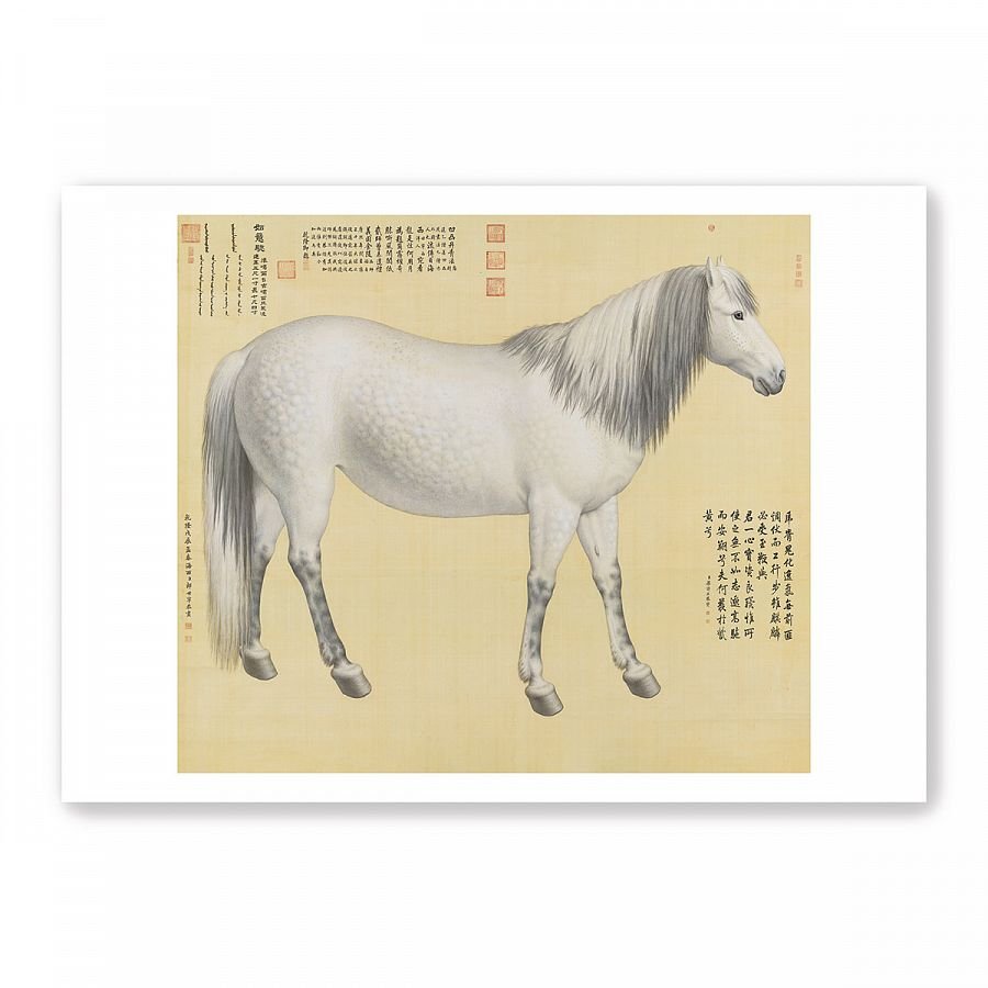 圖卡_郎世寧 一馬當先系列8入套組 - Image 3