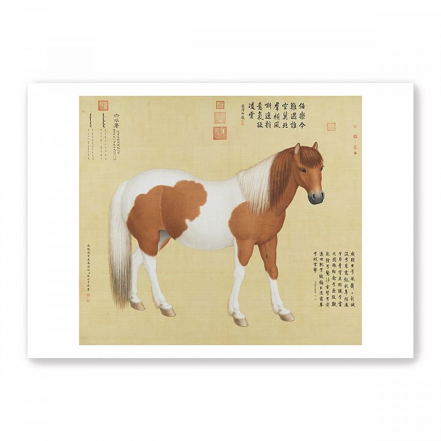 圖卡_郎世寧 一馬當先系列8入套組 - Image 5