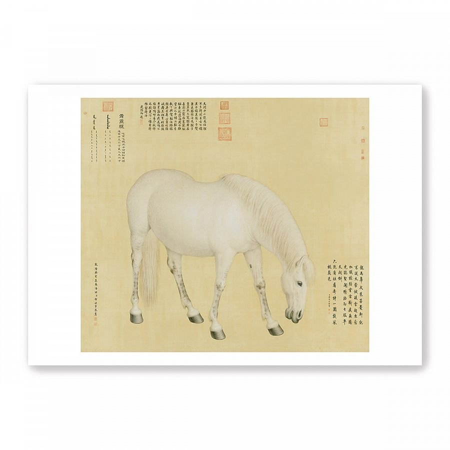 圖卡_郎世寧 一馬當先系列8入套組 - Image 6