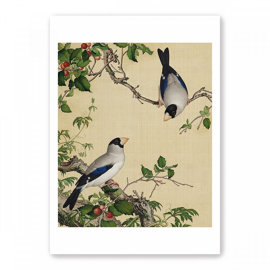 圖卡_郎世寧 仙萼長春鳥語系列8入套組 - Image 4