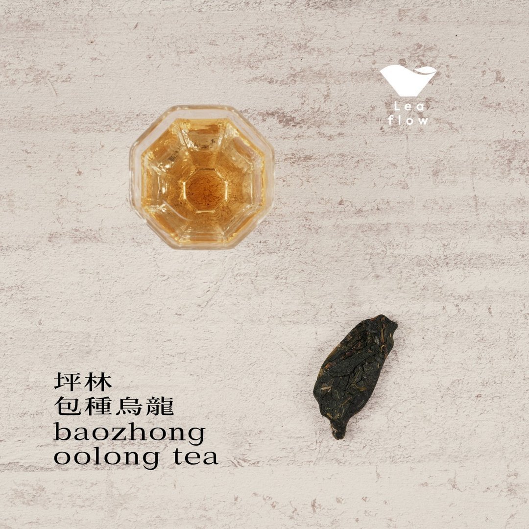 台灣造型茶磚禮盒 坪林包種茶(6入) 烏龍茶 伴手禮 新品 端午禮盒 - Image 2
