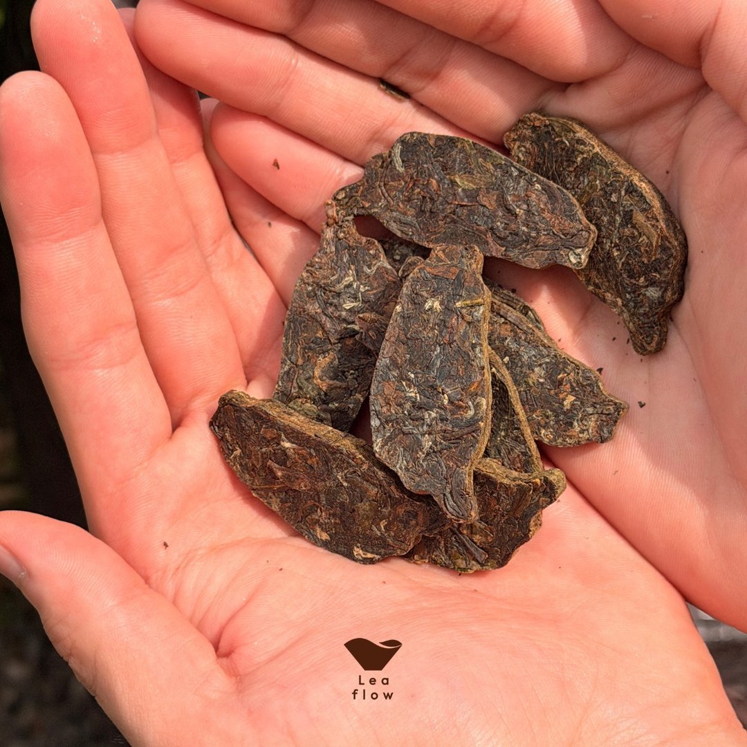 台灣造型茶磚禮盒 坪林包種茶(6入) 烏龍茶 伴手禮 新品 端午禮盒 - Image 5