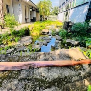 【預購】【台灣製】台灣肖楠原木/長型茶盤/電視牆板/原木擺飾