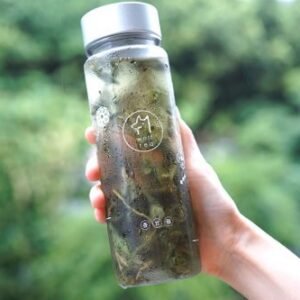 【琅茶】沁涼盆栽・冷泡茶水壺 / 超值定番茶款組合