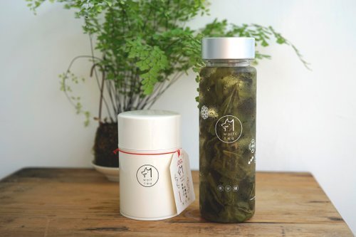 【琅茶】沁涼盆栽・冷泡茶水壺 / 超值定番茶款組合 - Image 2