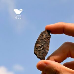 【Leaflow】台灣造型茶磚禮盒 坪林花香包種茶・台灣伴手禮