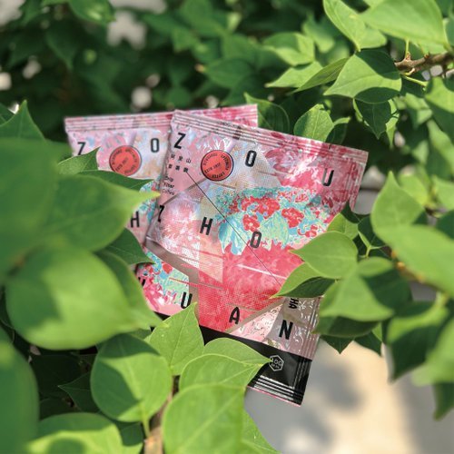 【預購】【尋品咖啡・兩件5折】精品濾掛式咖啡-阿里山鄒築園藝伎 10入盒 - Image 2