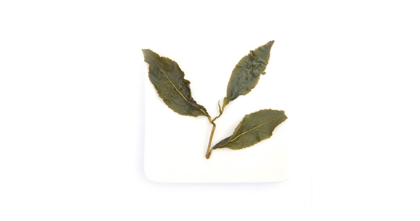 【無藏故事茶】阿里山精製烏龍-100g方罐裝*2罐 - Image 4
