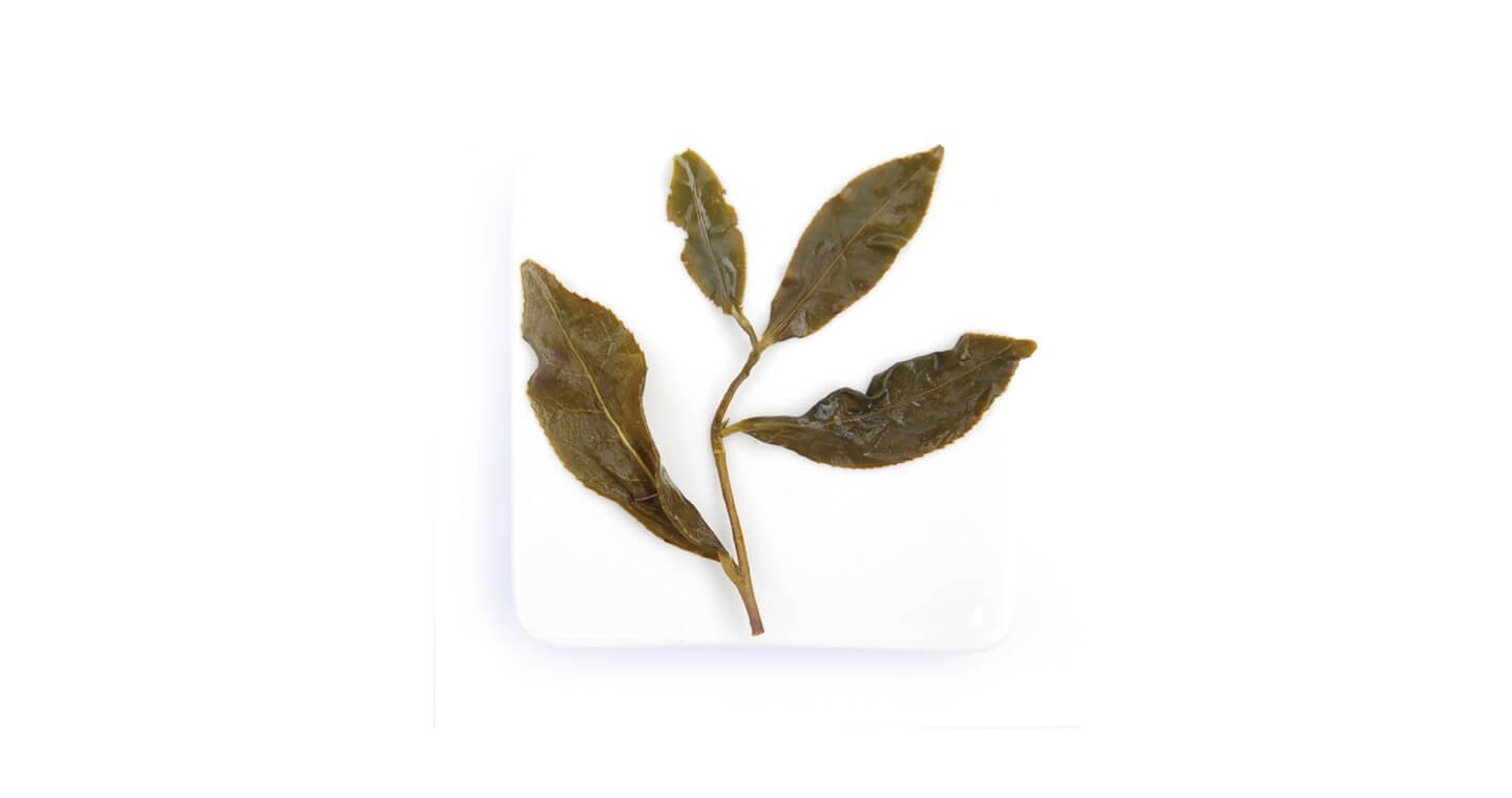 【無藏故事茶】阿里山高山烏龍茶 原片三角茶包(10入盒裝)*2盒 - Image 4