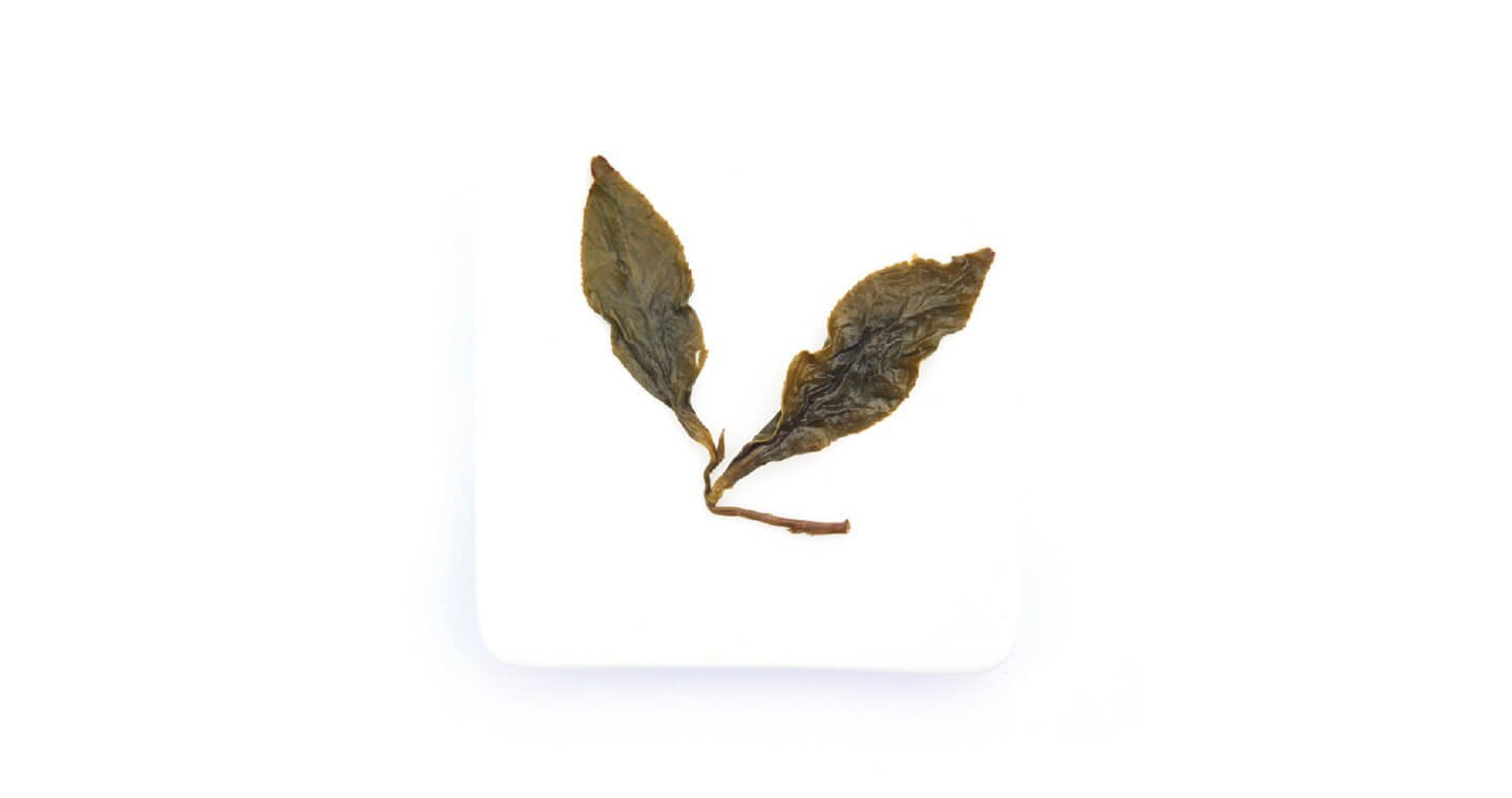 【無藏故事茶】阿里山陳年烏龍(100g裸包裝)*2包 - Image 3