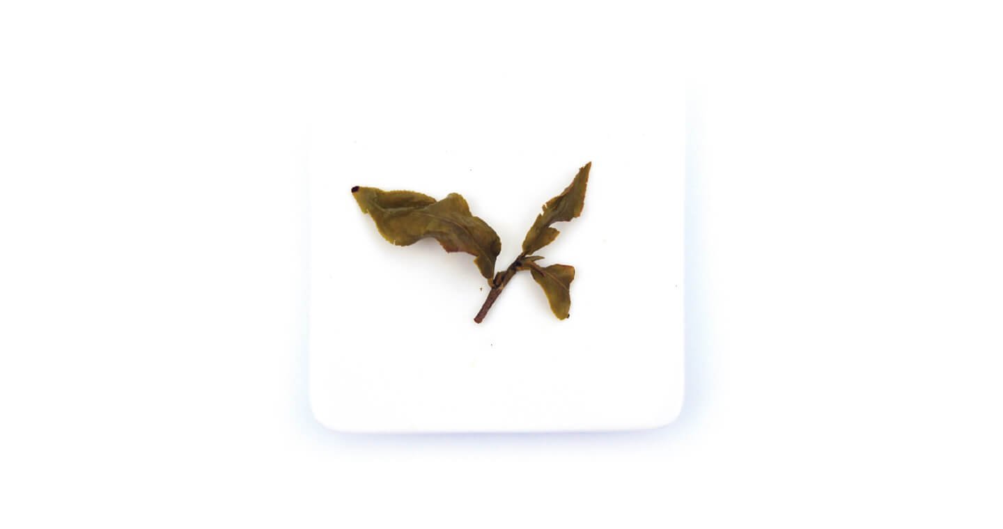 【無藏故事茶】阿里山冬片烏龍(100g裸包裝)*2包 - Image 3