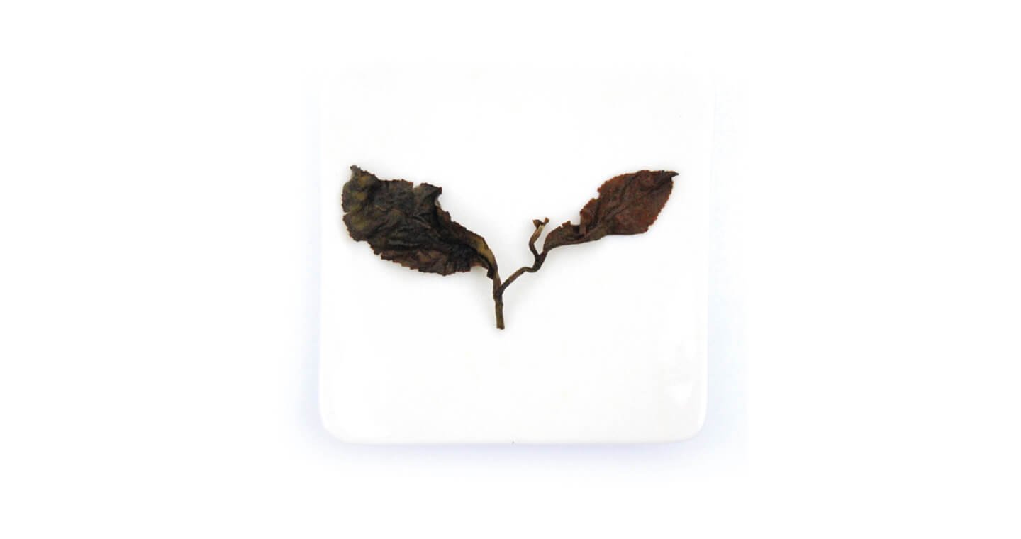 【無藏故事茶】阿里山白毫烏龍-18g優雅小茶罐*5罐 - Image 4