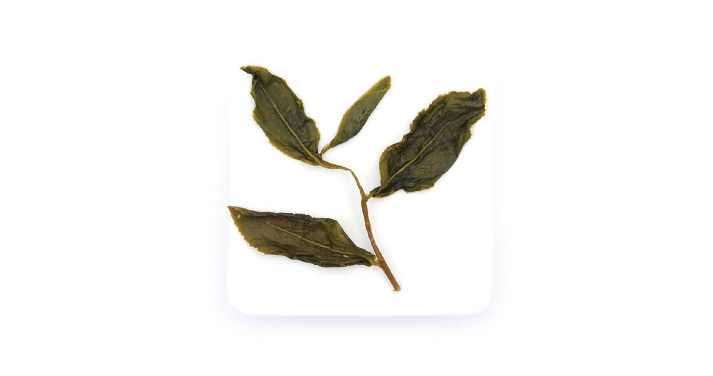 【無藏茗茶X霧峰林家】好人緣桃眼獅金萱茶-玉如意下巴-金萱綠茶18g盒裝*3盒 - Image 3