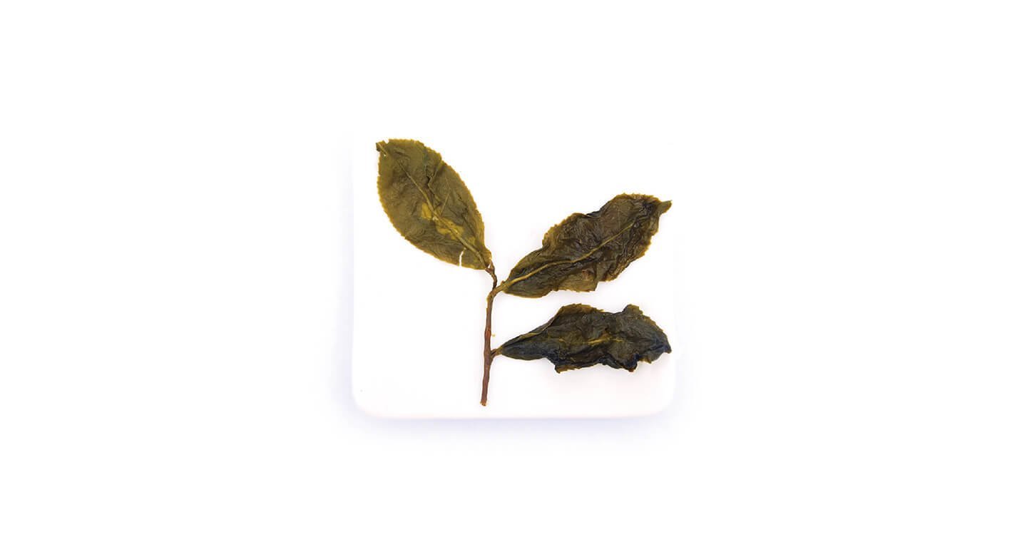 【無藏故事茶】阿里山金萱烏龍(600g裸包裝) - Image 4