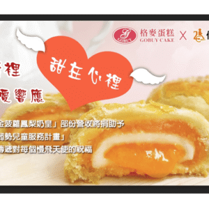 金菠蘿菠蘿流心奶黃禮盒 x 6盒