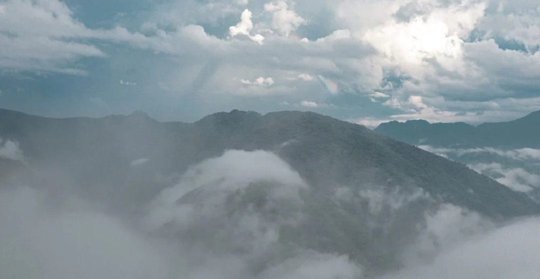 執行長推薦覓境拉拉山雲霧松木禮盒(伴手禮附提袋) - Image 6